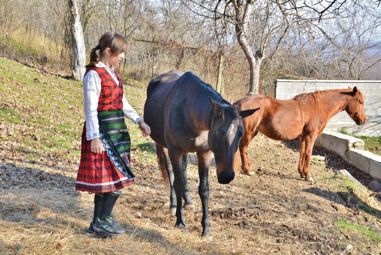Ecopark Elena Ξενοδοχείο Εξωτερικό φωτογραφία
