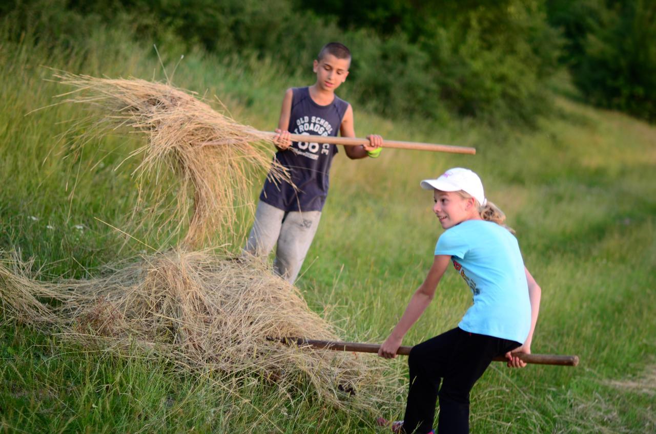 Ecopark Elena Ξενοδοχείο Εξωτερικό φωτογραφία