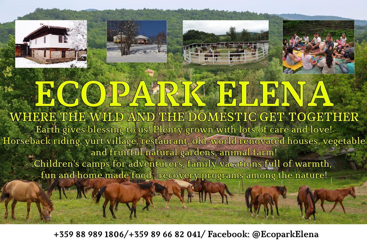 Ecopark Elena Ξενοδοχείο Εξωτερικό φωτογραφία