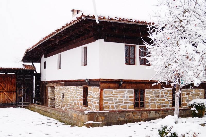 Ecopark Elena Ξενοδοχείο Εξωτερικό φωτογραφία