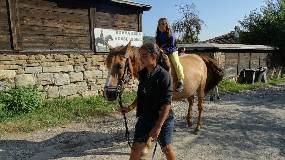 Ecopark Elena Ξενοδοχείο Εξωτερικό φωτογραφία