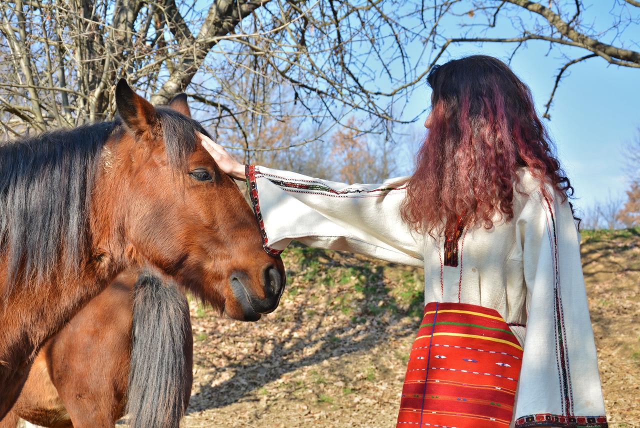 Ecopark Elena Ξενοδοχείο Εξωτερικό φωτογραφία
