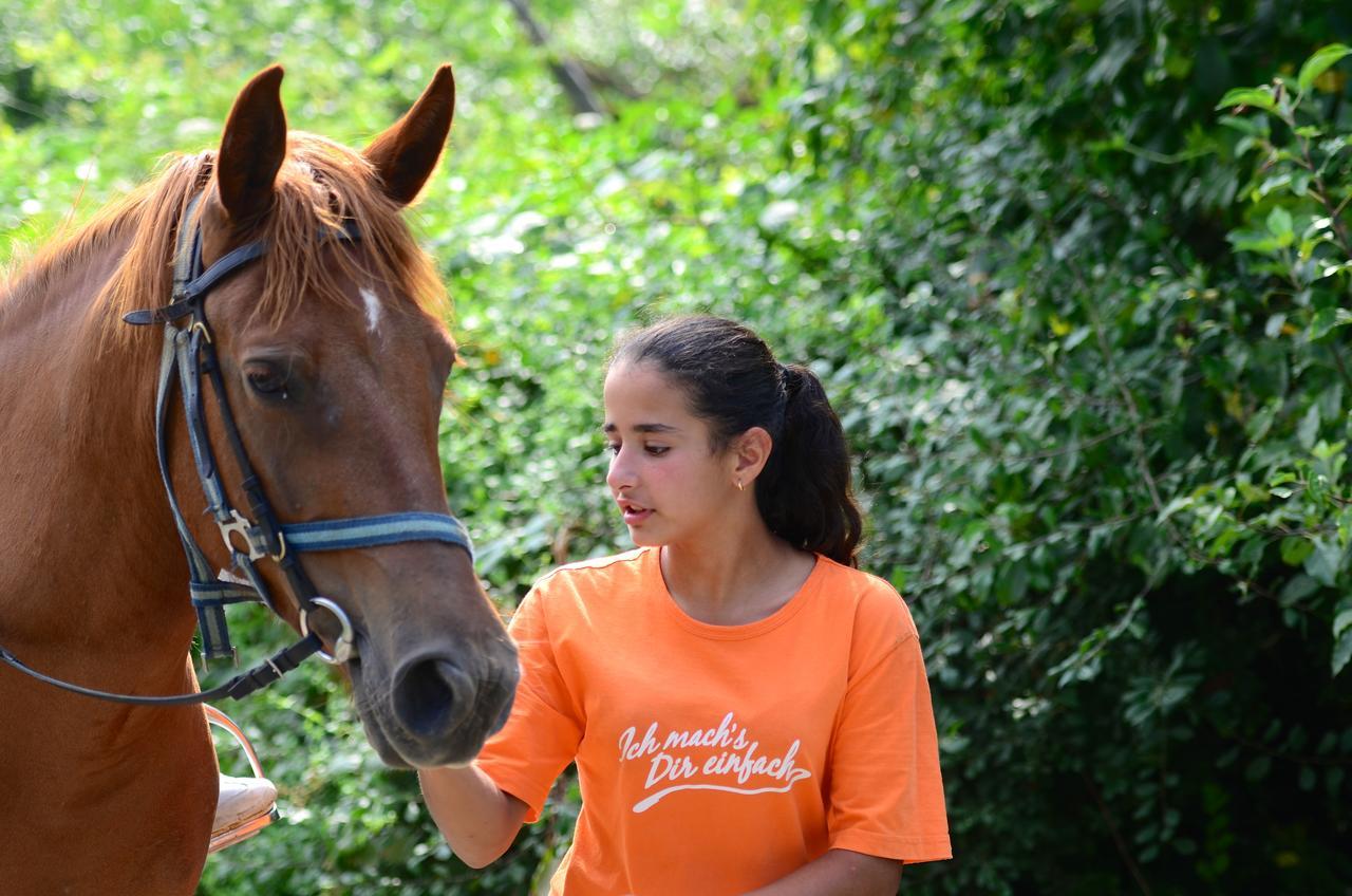 Ecopark Elena Ξενοδοχείο Εξωτερικό φωτογραφία