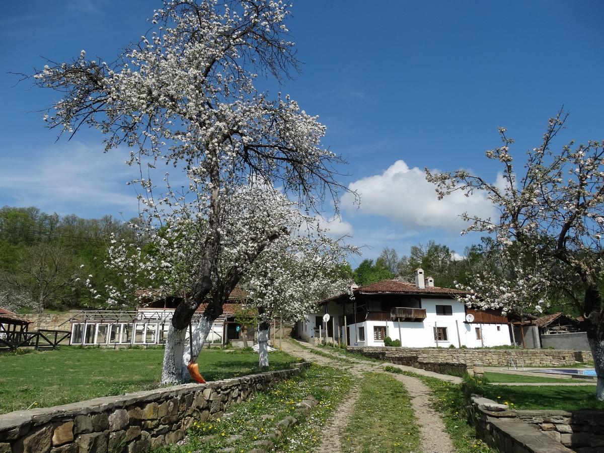 Ecopark Elena Ξενοδοχείο Εξωτερικό φωτογραφία