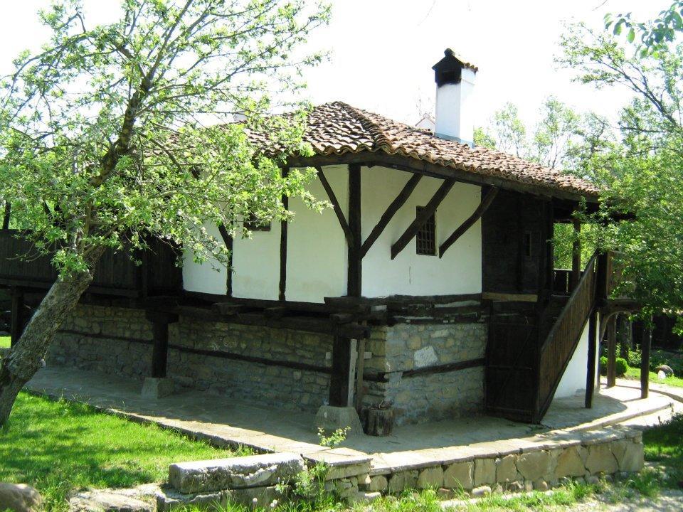 Ecopark Elena Ξενοδοχείο Εξωτερικό φωτογραφία