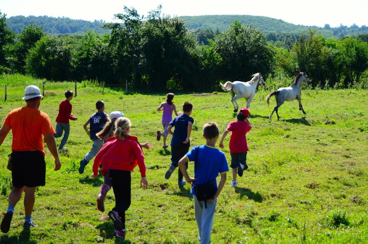 Ecopark Elena Ξενοδοχείο Εξωτερικό φωτογραφία
