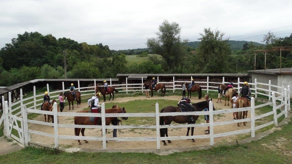 Ecopark Elena Ξενοδοχείο Εξωτερικό φωτογραφία