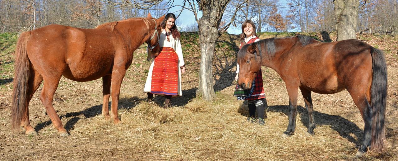 Ecopark Elena Ξενοδοχείο Εξωτερικό φωτογραφία