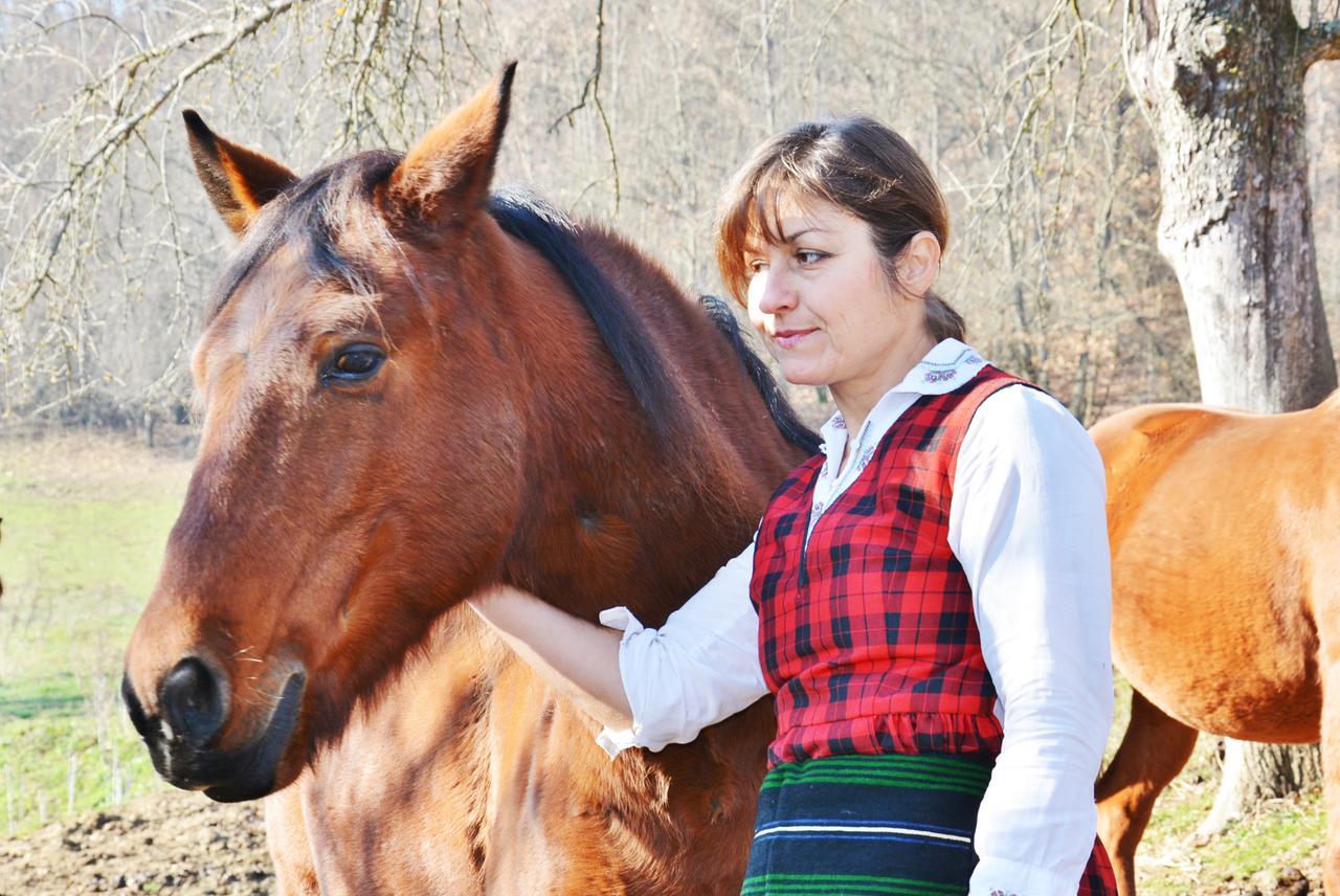 Ecopark Elena Ξενοδοχείο Εξωτερικό φωτογραφία
