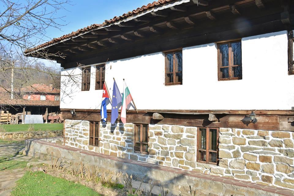 Ecopark Elena Ξενοδοχείο Εξωτερικό φωτογραφία